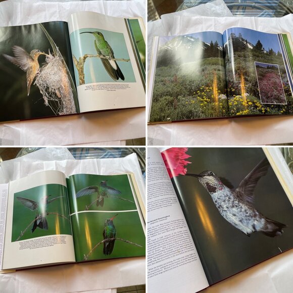 Hummingbirds Photographs Book by Scott Weidensaul - Picture 8 of 12